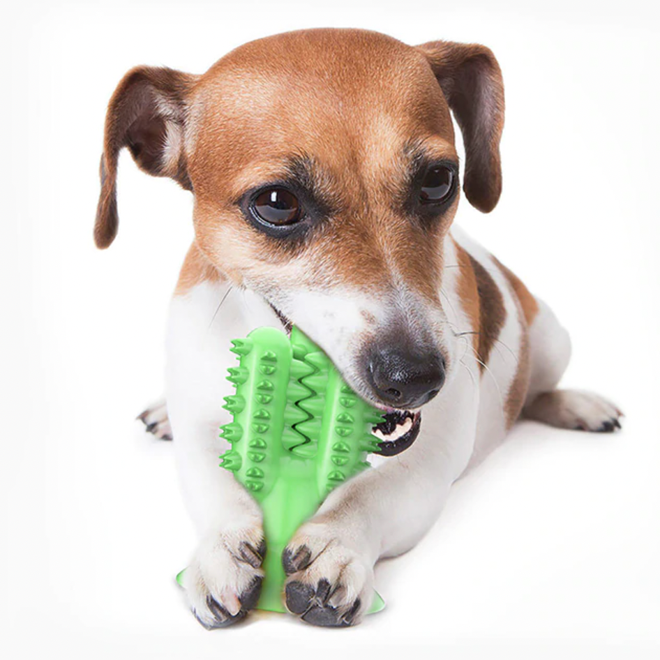 Dog toothbrush toy sales uk