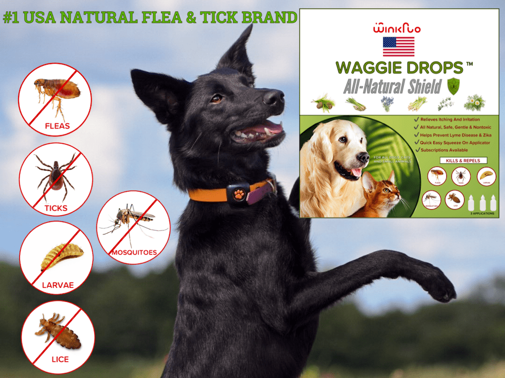 Waggie Drops™ - Natural Anti-Flea, Tick, & Mosquito Spot-Ons (SAFEST 5+ Months Topical Protection)