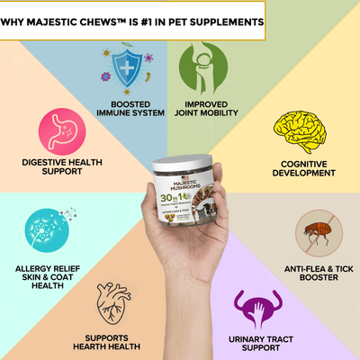 Majestic Mushrooms™ - 7 Organic Super Mushrooms with Natural Flea & Tick Defense + Human-Grade (30-in-1 MultiChew)