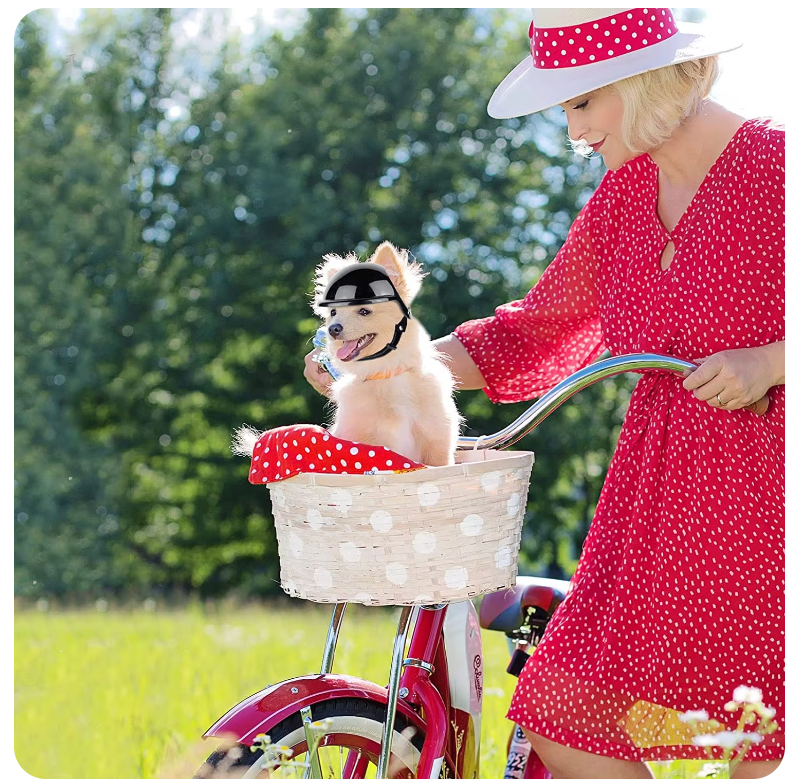 WagHelmet™ - Classic Motorcycle Head Protection (For Dogs and Cats)