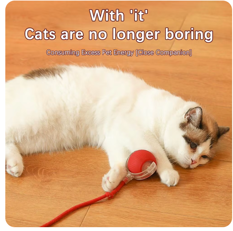 WagRoll™ - Interactive Automatic Rolling Ball with Fake Tail for Cats and Dogs