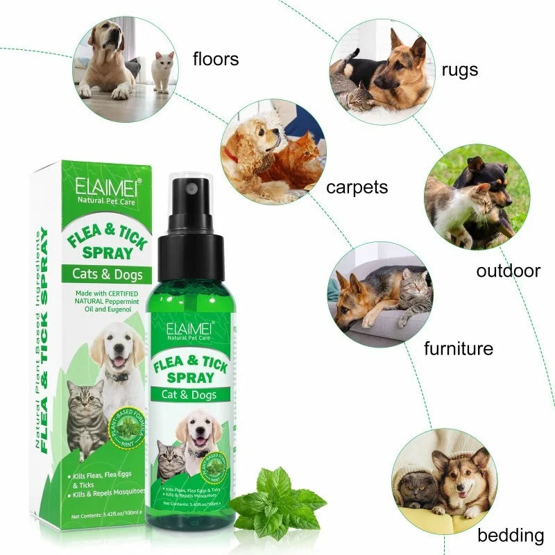 WagAway bottle with pictured household uses including bedding, carpets, and rugs