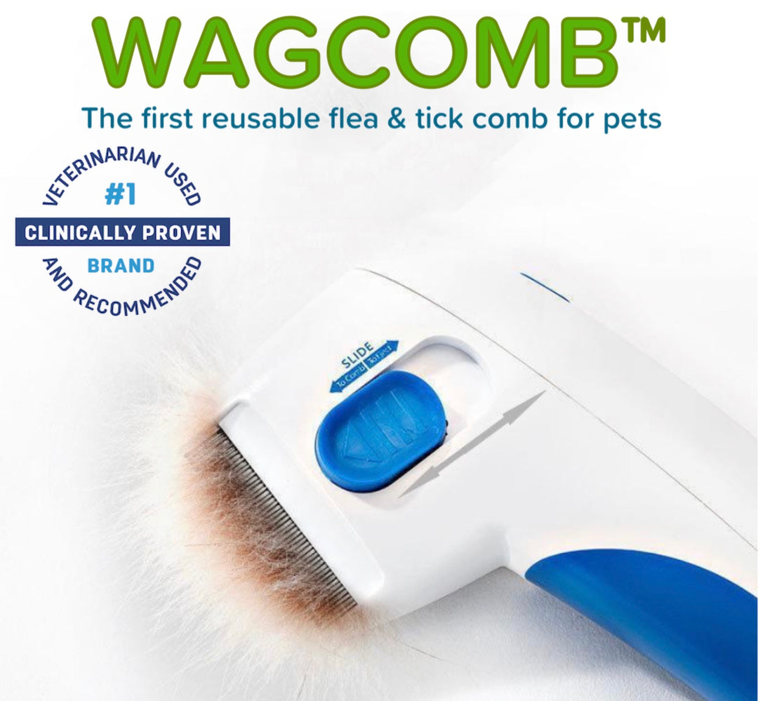 Electric flea comb for dogs best sale