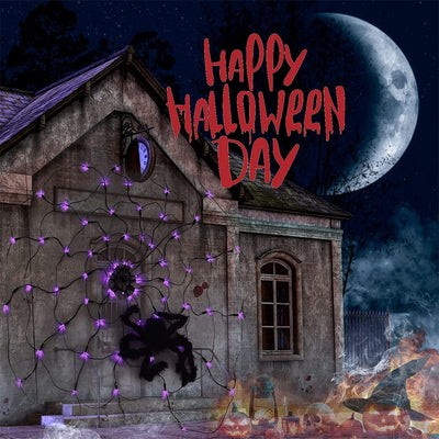 WebLight™ - Halloween Spider Web LED